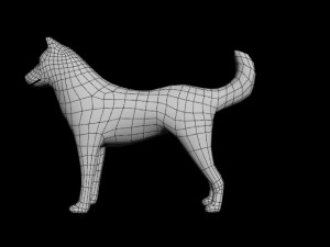 dog Model 3D
