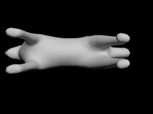dog Model 3D