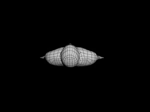 man 3D Model