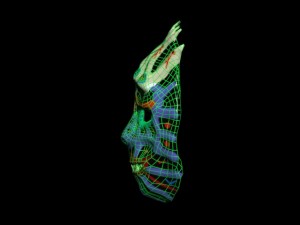 mask of shaman 3Dモデル