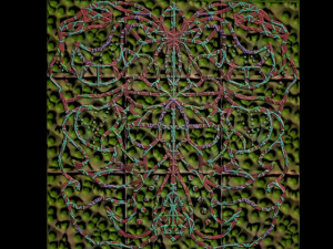 pattern 11 Texturas CG