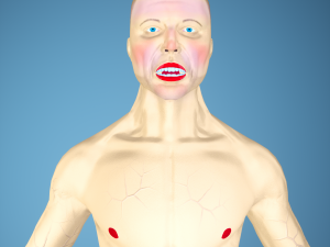 Boris Wiry Modèle 3D