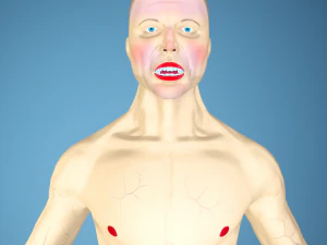 बोरिस विरी 3D मॉडल