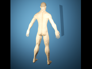 Boris Wiry Modèle 3D