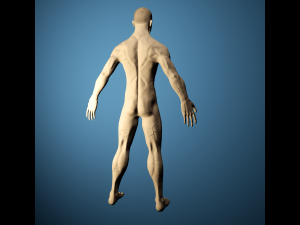 Boris Wiry Modèle 3D