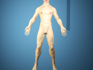 Boris Wiry Modèle 3D