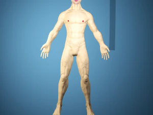 बोरिस विरी 3D मॉडल