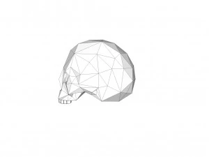 cr&acirc;nio Modelo de Impressão 3D