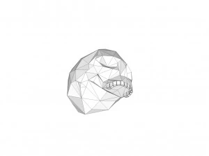 cr&acirc;nio Modelo de Impressão 3D