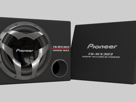 Car Subwoofer - Pioneer TS-WX303 Modelo 3D