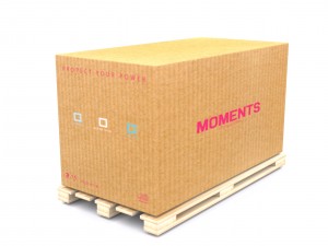 carton Modello 3D