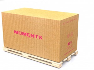carton Modello 3D