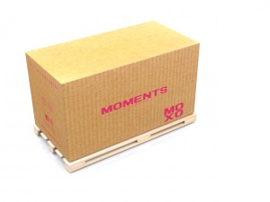 carton Modello 3D