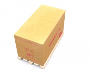 carton Modello 3D