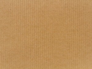 carton Modello 3D