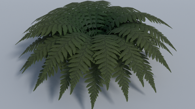 fern - low poly 3D 모델 .c4d .max .obj .3ds .fbx .stl .blend 