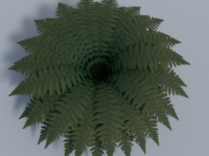 fern - low poly 3D 모델