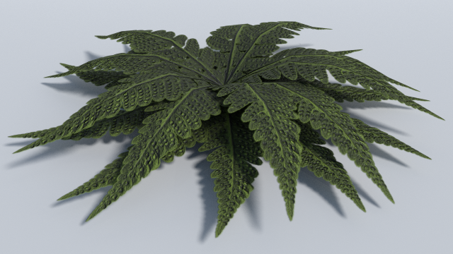big leaf plant - low poly Modèle 3D .c4d .max .obj .3ds .fbx .stl .blend 