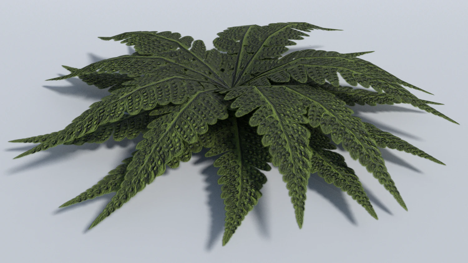 big leaf plant - low poly 3D Model .c4d .max .obj .3ds .fbx .stl .blend