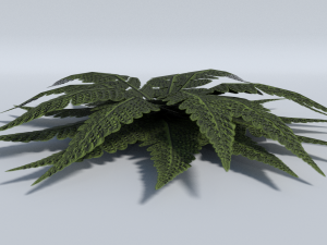 big leaf plant - low poly Modèle 3D