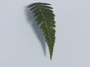 big leaf plant - low poly 3D Model