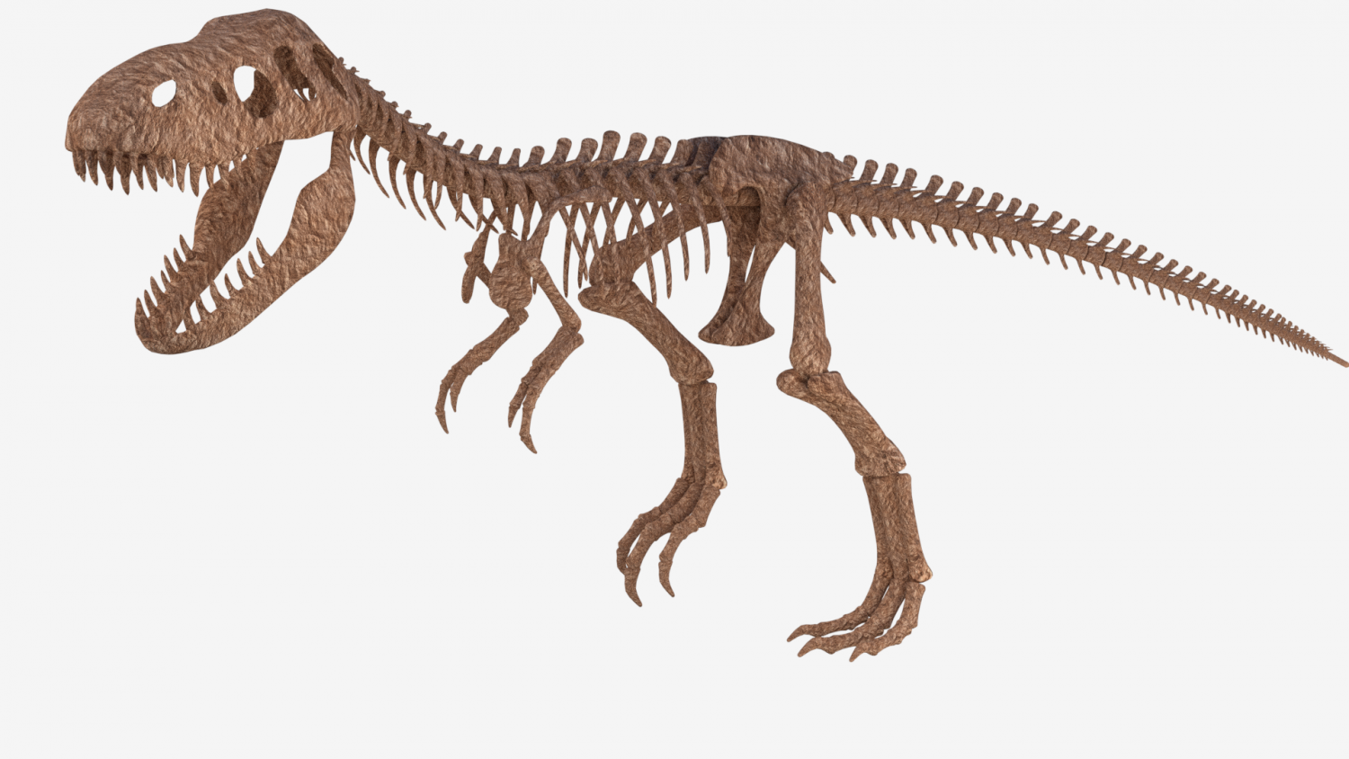 Tyrannosaurus Rex Skeleton 3D Model in Dinosaur 3DExport