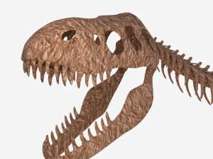 tyrannosaurus rex skeleton 3D मॉडल