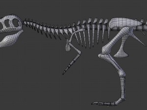 tyrannosaurus rex skeleton 3D मॉडल