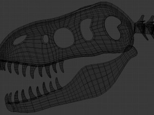 tyrannosaurus rex skeleton 3D मॉडल