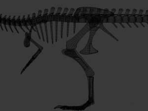 tyrannosaurus rex skeleton 3D मॉडल