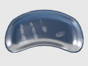 surgical instruments 3D Model