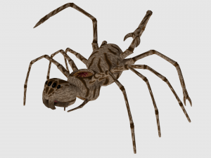 spider monster - game ready 3D Модель