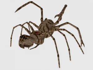 spider monster - game ready 3D Model
