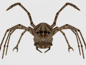 spider monster - game ready 3D Model