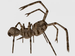 spider monster - game ready 3D Model