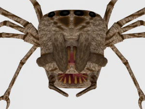 spider monster - game ready 3D Model