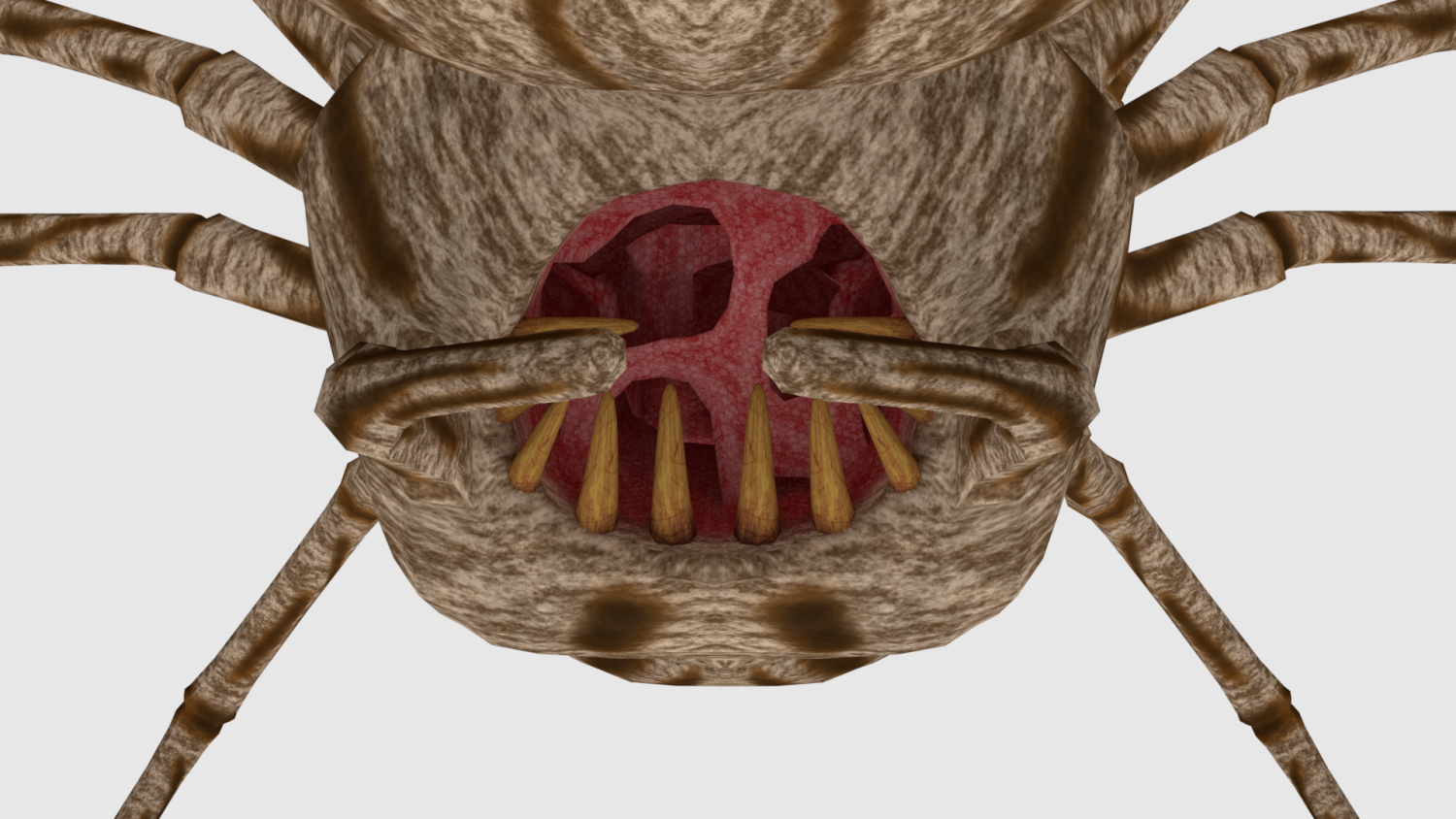 To continue... spider monster - game ready Model 3D. 