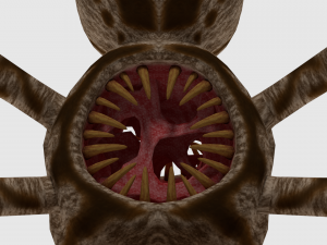 spider monster - game ready 3D Модель