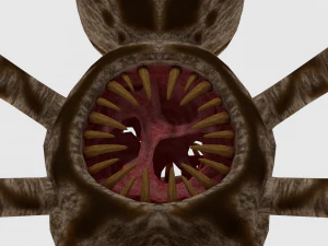 spider monster - game ready 3D Model