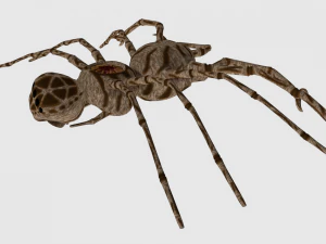 spider monster - game ready 3D Model