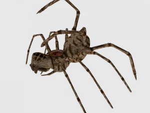 spider monster - game ready 3D Model