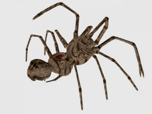 spider monster - game ready 3D Model