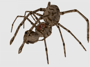 spider monster - game ready 3D Модель