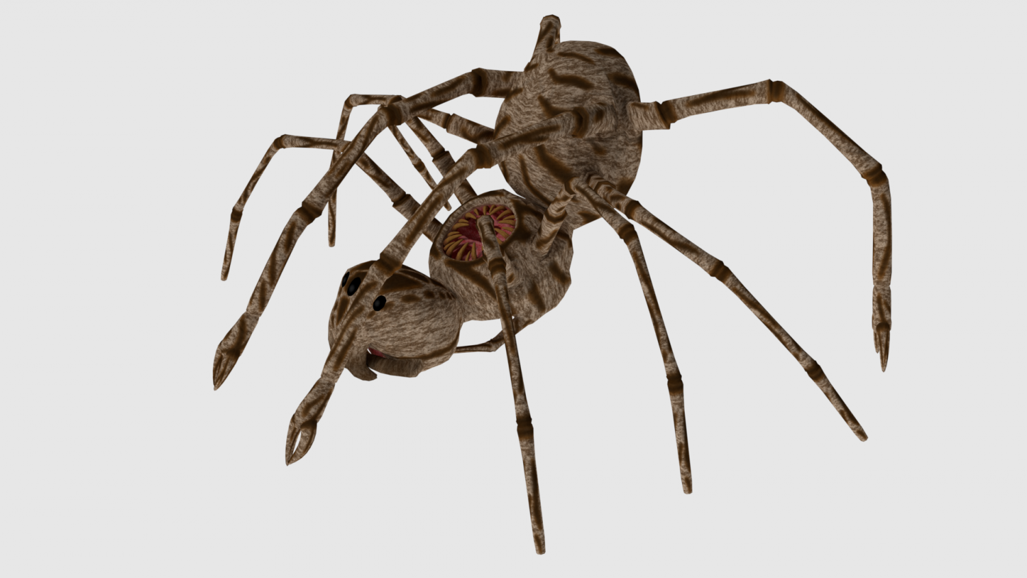 To continue... spider monster - game ready Model 3D. 