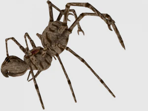 spider monster - game ready 3D Model
