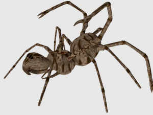 spider monster - game ready 3D Model