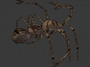 spider monster - game ready 3D Model
