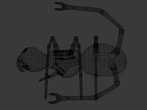 spider monster - game ready 3D Model