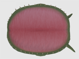 plant monster - game ready 3D Model