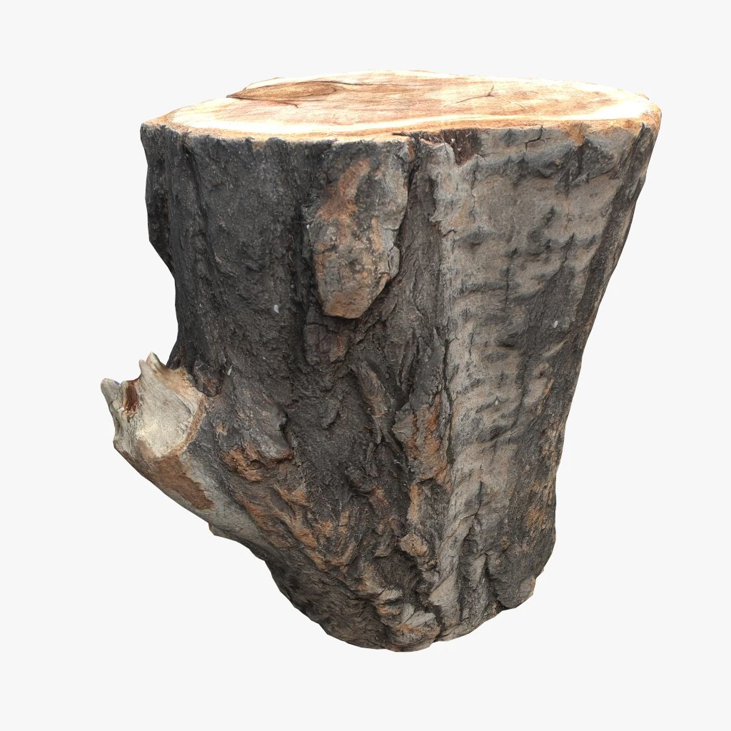 round log 3D Model .c4d .max .obj .3ds .fbx .stl .blend